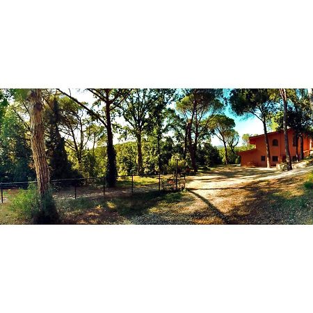 Agriturismo Poggio Al Pino Montelupo Fiorentino Eksteriør bilde