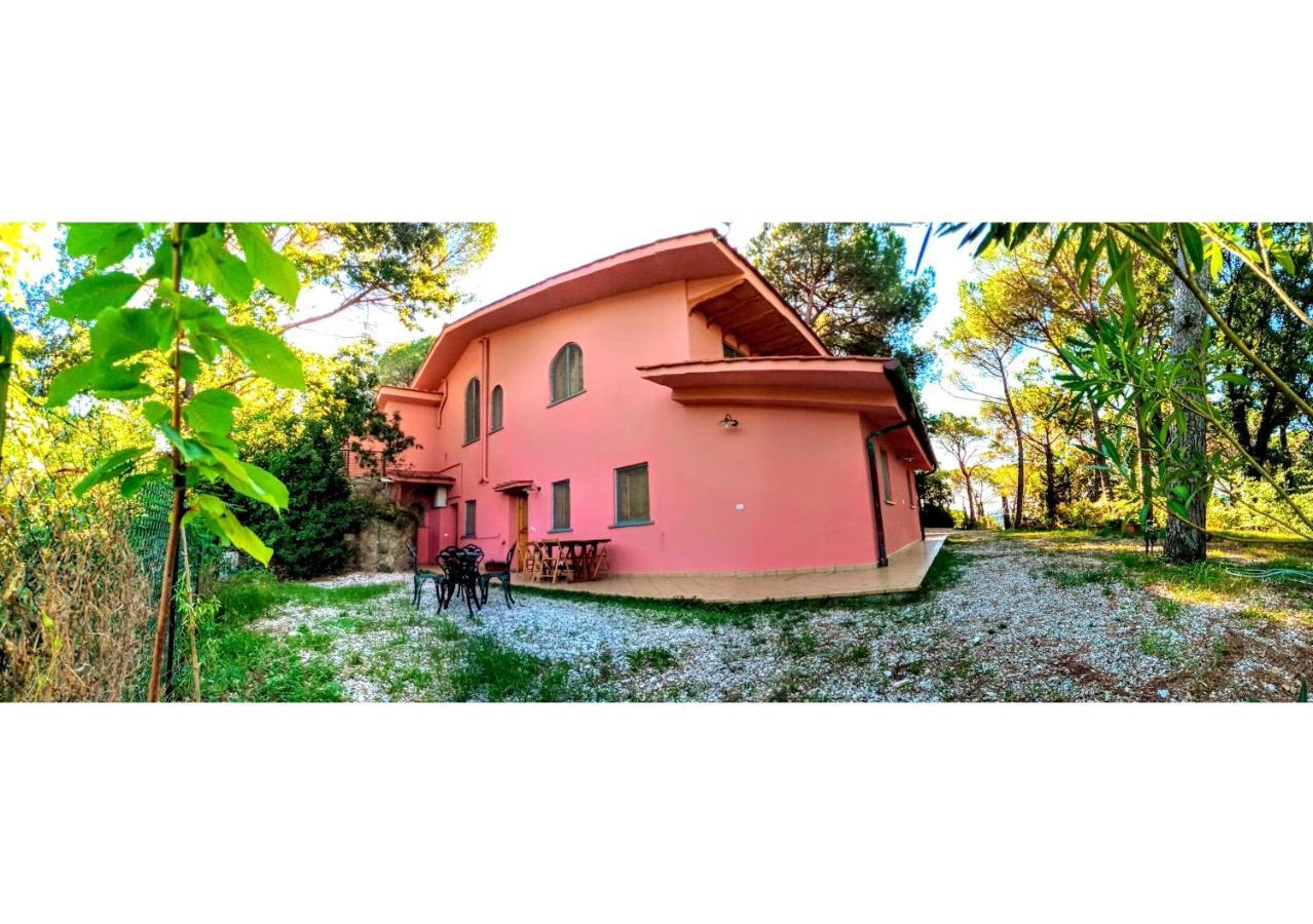 Agriturismo Poggio Al Pino Montelupo Fiorentino Eksteriør bilde