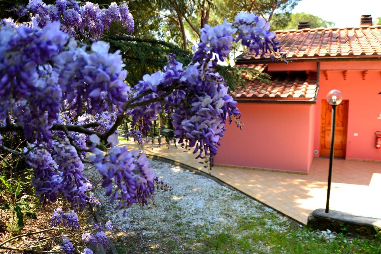 Agriturismo Poggio Al Pino Montelupo Fiorentino Eksteriør bilde